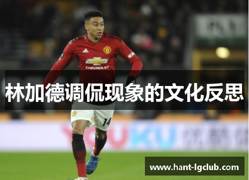 林加德调侃现象的文化反思